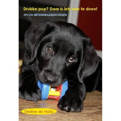 Drukke pup? Daar is iets aan te doen! - Ondine de Hullu - Paperback (9789085484318)