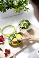 Emsa Clip & Go Snackbox 1 l Kunststof Met deksel, Vaatwasserbestendig Transparant, Groen 518097 - thumbnail