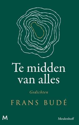 Te midden van alles - Frans Budé - ebook
