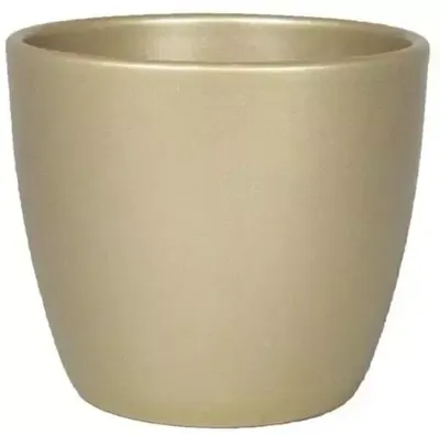 Floran bloempot boule 10,5x8,5 cm parelgoud