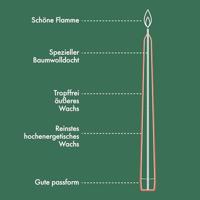 Bolsius gotische dinerkaars 8 stuks wit 25 cm - thumbnail