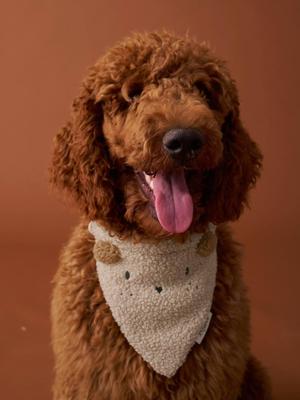 Bandanaslabbetje voor honden FAMILY ecru