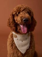 Bandanaslabbetje voor honden FAMILY ecru - thumbnail