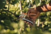 Fiskars 1057168 Plus™ P531 Tuinschaar 210 mm - thumbnail