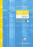 Clairefontaine ringbandinterieur Metric, ft A4, 9-gaatsperforatie, los, 100 bladzijden, seyès - thumbnail