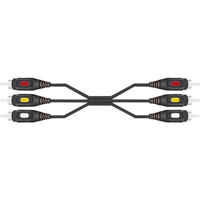 SpeaKa Professional Composite cinch AV Aansluitkabel [3x Cinch-stekker - 3x Cinch-stekker] 10.00 m Zwart