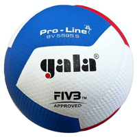 Gala Volleybal BV 5595S FIVB Approved - thumbnail