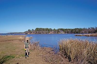 Garrett ACE200i Metaaldetector Zoekdiepte (max.) 100 cm Digitaal, Akoestisch 1141370