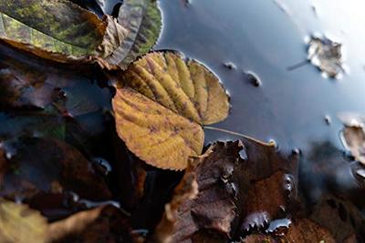 Tamron 20mm F/2.8 Di III RXD Sony FE - thumbnail
