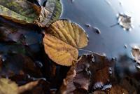 Tamron 20mm F/2.8 Di III RXD Sony FE - thumbnail