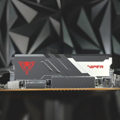 Patriot 32 gb ddr5-6000 kit