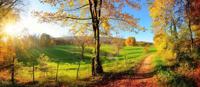 Schilderij - Herfst, panorama, groen,blauw ,2 maten , `premium Print - thumbnail