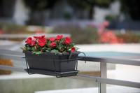 ARTEVASI - Balkonbak venezia kit 50cm antraciet 50 x 19,5 x h16,3 cm - 1,13l - thumbnail