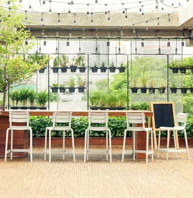 ALTEREGO NOBU MINI Middelhoge snackkruk - Rood ALTEREGO NOBU MINI Middelhoge snackkruk - Rood