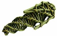 Nature First Happy pet knaagspeeltje mais wilg - thumbnail