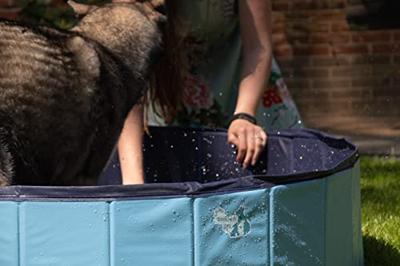 CoolPets Zwembad 120x30