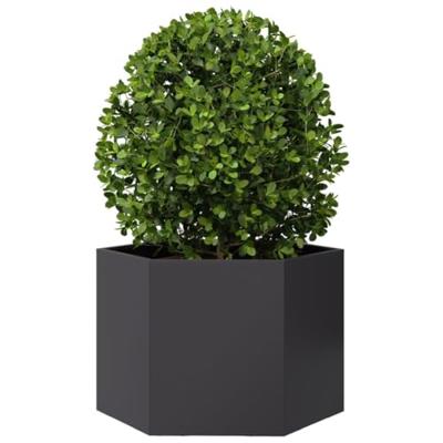 Plantenbak zeshoek 69x60x45 cm staal zwart Plantenbak zeshoek 69x60x45 cm staal zwart