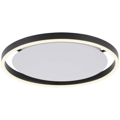 Paul Neuhaus Led plafonnièreRitus Ø 40cm - 15391-13