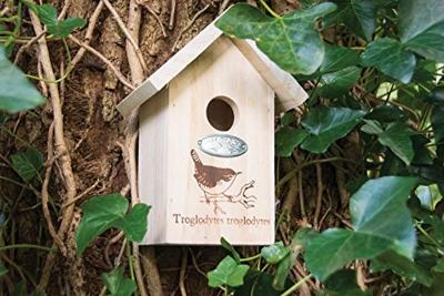 Nestkast winterkoning silhouet Best for Birds - Best for birds Nestkast winterkoning silhouet Best for Birds - Best for birds
