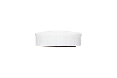 MAUL magneet Solid, 24 mm, trekkracht 600 gr, doos van 10 stuks, wit MAUL magneet Solid, 24 mm, trekkracht 600 gr, doos van 10 stuks, wit