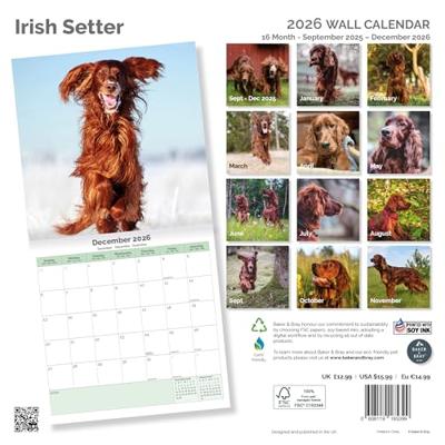 Ierse Setter Kalender 2026 Ierse Setter Kalender 2026