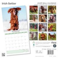Ierse Setter Kalender 2026 - thumbnail