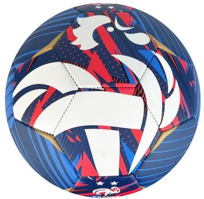 Voetbalbal - FFF - Galaxy Jersey - T5