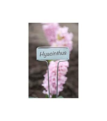 Plaatetiketten zink 26 cm met tuinpotlood
