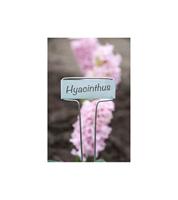 Plaatetiketten zink 26 cm met tuinpotlood - thumbnail