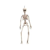 Halloween Decoraties My Other Me 120 cm Skelet - thumbnail
