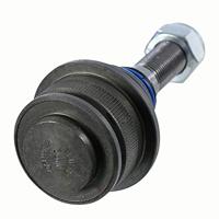 Fuseekogel 1160107192HD - thumbnail