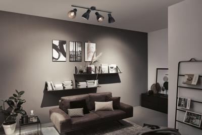 Paulmann 66762 Plafondspot E27 Zwart