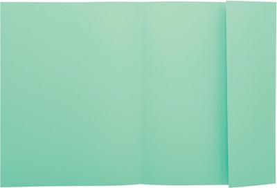 Exacompta dossiermap Super 210, pak van 50 stuks, groen