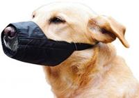 BZ VEILIGHEIDSMUILBAND S 12 - thumbnail