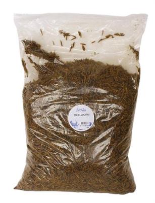 DE VRIES SOLDIER FLY MEELWORM 5 KG DE VRIES SOLDIER FLY MEELWORM 5 KG