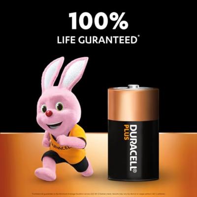 Duracell batterij Plus 100% C, blister van 2 stuks