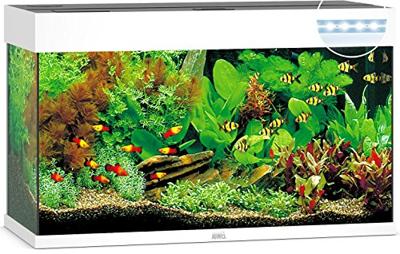 Juwel aquarium Rio 125 LED met filter wit Juwel Gebr. de Boon - Gebr de boon Juwel aquarium Rio 125 LED met filter wit Juwel Gebr. de Boon - Gebr de boon