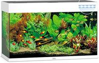 Juwel aquarium Rio 125 LED met filter wit Juwel Gebr. de Boon - Gebr de boon - thumbnail