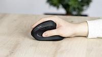 SpeedLink PIAVO PRO Illuminated Muis Radiografisch Optisch Zwart 5 Toetsen 1200 dpi, 2400 dpi, 3200 dpi Ergonomisch, Verlicht - thumbnail