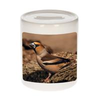 Foto appelvink vogel spaarpot 9 cm - Cadeau vogels liefhebber - Spaarpotten - thumbnail