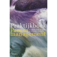 Praktijkboek Procesmanagement (Paperback) - thumbnail