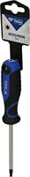 Brilliant Tools BT034908 Torx-schroevendraaier Grootte T 25 Koplengte: 100 mm 1 stuk(s) - thumbnail