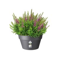 Elho schaal loft urban D35cm antraciet - thumbnail