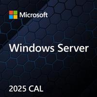 Microsoft Windows Server CAL 2022 Client Access License (CAL) 1 licentie(s) - thumbnail