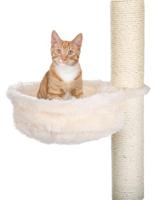 TRIXIE HANGMAND VOOR KRABPALEN PLUCHE CRÈME 38X38 CM - thumbnail