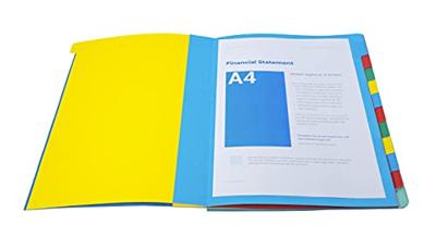 Exacompta voorordner Harmonika, 12 vakken, geassorteerde kleuren Exacompta voorordner Harmonika, 12 vakken, geassorteerde kleuren