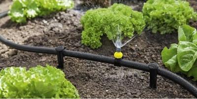 Karcher Grondpen 5 stuks - 2.645-237.0 Karcher Grondpen 5 stuks - 2.645-237.0