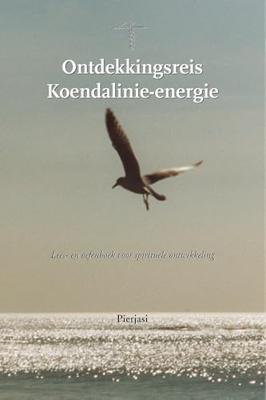 Ontdekkingsreis Koendalinie-energie - Pierjasi - ebook