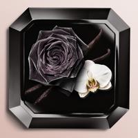 Lancome La Nuit Tresor Eau de parfum Spray 30 ml Dames - thumbnail