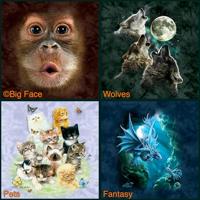 T-Shirt Mountain Artwear Warrior Wolf M - thumbnail